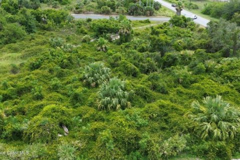 Terreno en venta en Cocoa, Florida № 2308996 - foto 3