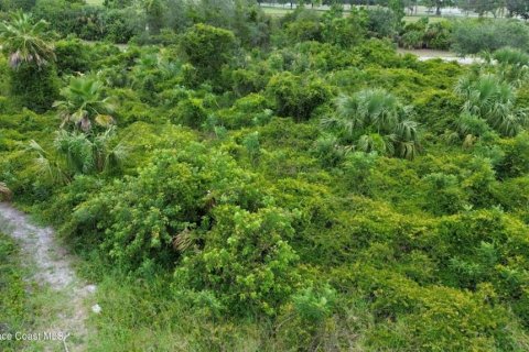 Terreno en venta en Cocoa, Florida № 2308996 - foto 5