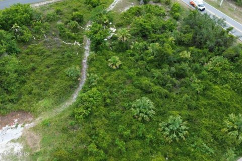 Terreno en venta en Cocoa, Florida № 2308996 - foto 4