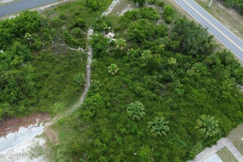 Terreno en venta en Cocoa, Florida № 2308996 - foto 2