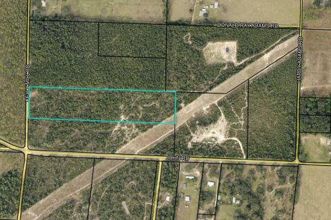 Land in Holt, Florida № 590445 - photo 1