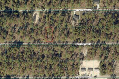 Land in Dunnellon, Florida № 2201849