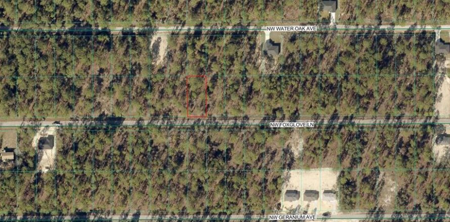 Land in Dunnellon, Florida № 2201849