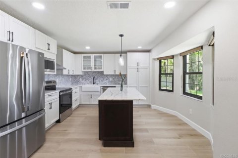 Casa en venta en Inverness, Florida, 3 dormitorios, 173.63 m2 № 2239358 - foto 9