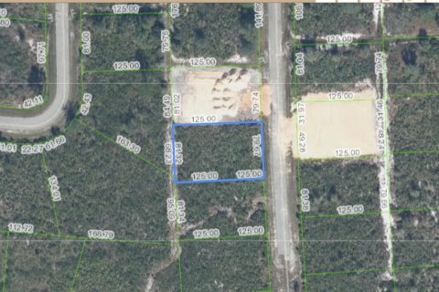 Propiedad comercial en venta en Sebring, Florida № 2158323 - foto 3
