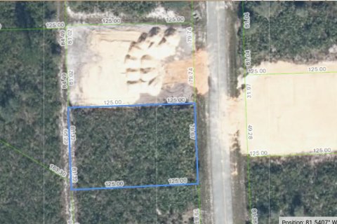 Propiedad comercial en venta en Sebring, Florida № 2158323 - foto 5