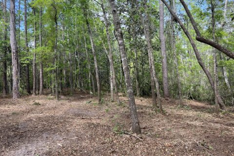 Land in CROSS CREEK in Parrish, Florida № 560100 - photo 1