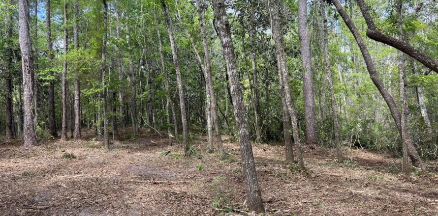 Land in CROSS CREEK in Parrish, Florida № 560100