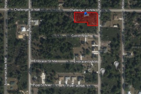 Land in Lake Placid, Florida № 1849659 - photo 2