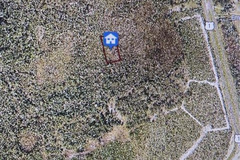 Land in Mims, Florida № 2158966 - photo 2