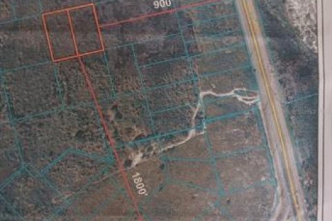 Land in Mims, Florida № 2158966 - photo 3