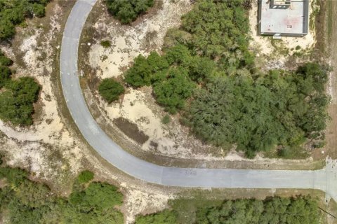 Land in Kissimmee, Florida № 2160192 - photo 2