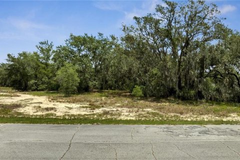 Land in Kissimmee, Florida № 2160192 - photo 3