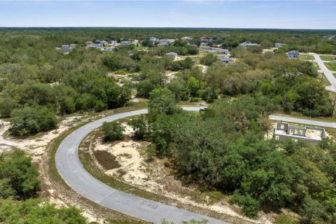 Land in Kissimmee, Florida № 2160192