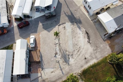 Land in Palmetto, Florida № 1893619 - photo 8