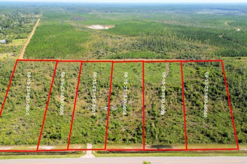 Land in Bryceville, Florida № 875671 - photo 1