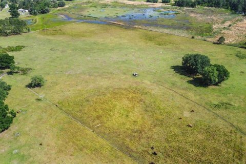 Land in Center Hill, Florida № 1144647 - photo 13