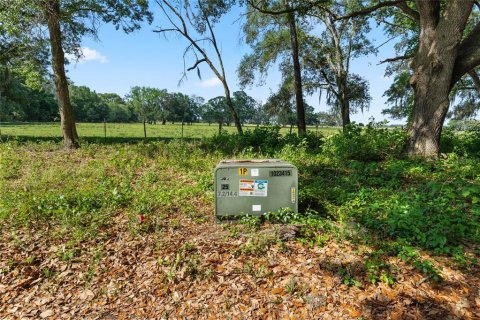 Land in Center Hill, Florida № 1144647 - photo 24