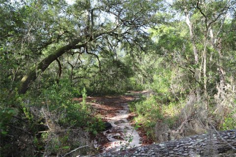 Land in Keystone Heights, Florida № 1789617 - photo 2