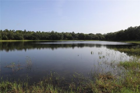 Land in Keystone Heights, Florida № 1789617 - photo 4