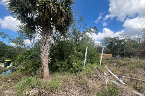 Land in Sebring, Florida № 2209939 - photo 5