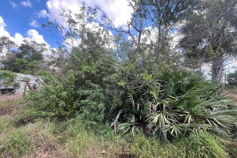 Land in Sebring, Florida № 2209939 - photo 4