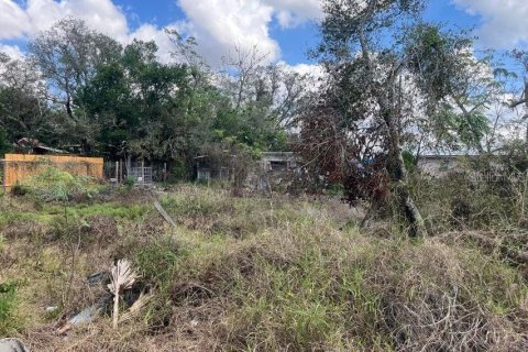 Land in Sebring, Florida № 2209939
