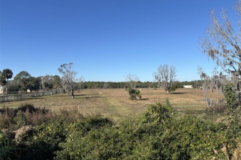 Terreno en Port Orange, Florida № 2096601