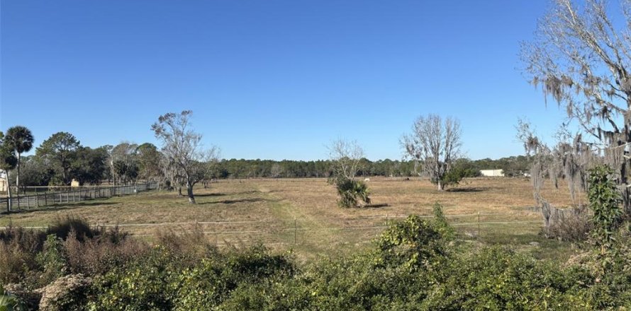 Terreno en Port Orange, Florida № 2096601