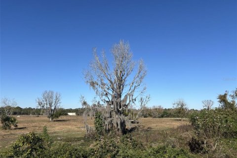 Terreno en venta en Port Orange, Florida № 2096601 - foto 4