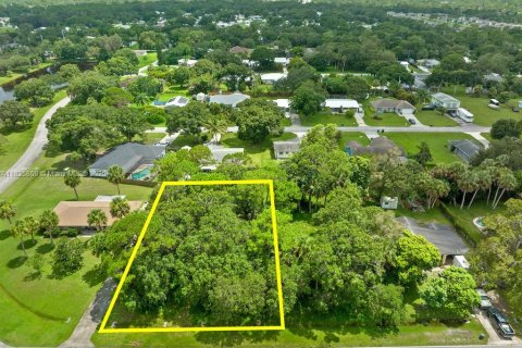 Land in St. Lucie, Florida № 1794144 - photo 2