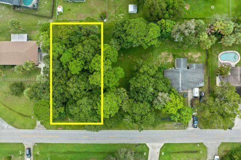 Land in St. Lucie, Florida № 1794144 - photo 1