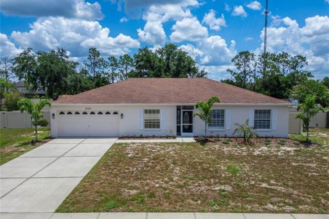 House in Riverview, Florida 3 bedrooms, 156.54 sq.m. № 2237123