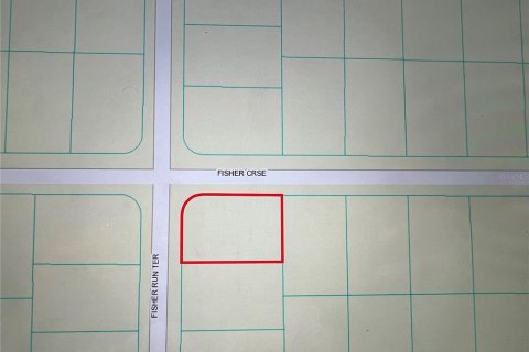 Land in Ocklawaha, Florida № 2161366