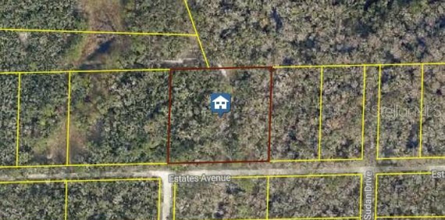 Land in Webster, Florida № 2108685