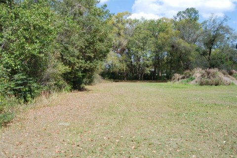 Propiedad comercial en venta en Ocala, Florida, 237.27 m2 № 1581957 - foto 12