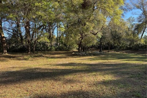 Propiedad comercial en venta en Ocala, Florida, 237.27 m2 № 1581957 - foto 13