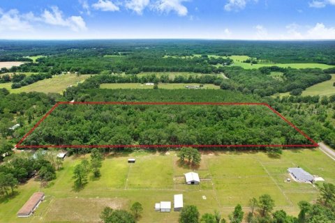 Land in Fort White, Florida № 1784432 - photo 10