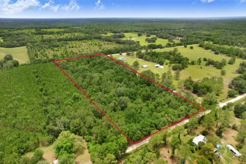 Land in Fort White, Florida № 1784432 - photo 4
