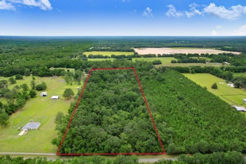 Land in Fort White, Florida № 1784432 - photo 9