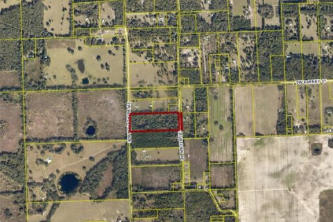 Land in Fort White, Florida № 1784432 - photo 12