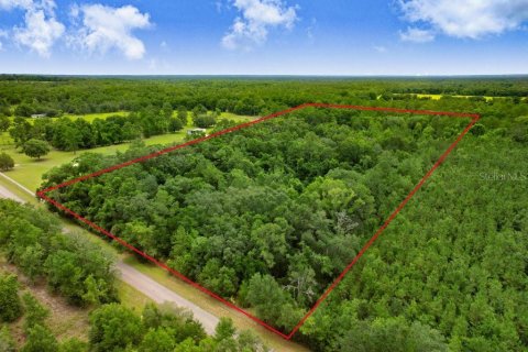 Land in Fort White, Florida № 1784432 - photo 11
