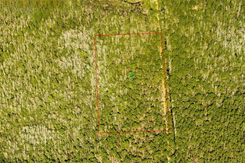 Land in DeLand, Florida № 1675189 - photo 3