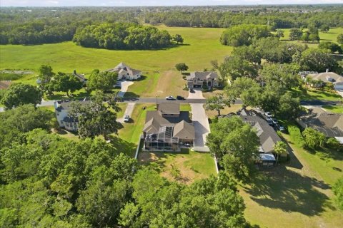 House in New Port Richey, Florida 4 bedrooms, 323.67 sq.m. № 2112083