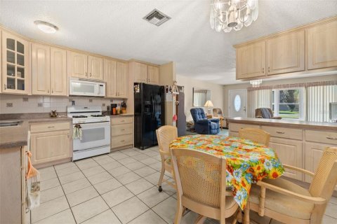Villa ou maison à vendre à Avon Park, Floride: 3 chambres, 211.54 m2 № 2304441 - photo 19