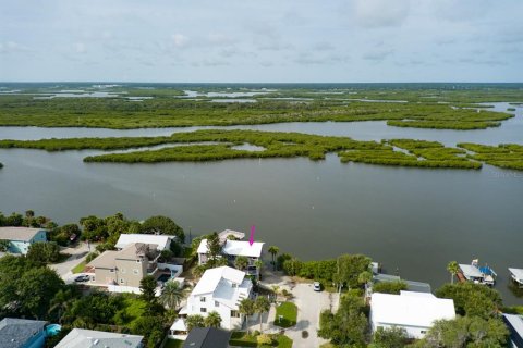 Villa ou maison à vendre à New Smyrna Beach, Floride: 5 chambres, 394.83 m2 № 1364727 - photo 5