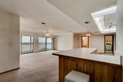 Villa ou maison à vendre à New Smyrna Beach, Floride: 5 chambres, 394.83 m2 № 1364727 - photo 26