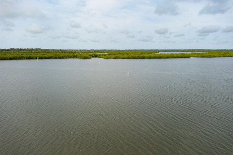 Villa ou maison à vendre à New Smyrna Beach, Floride: 5 chambres, 394.83 m2 № 1364727 - photo 9
