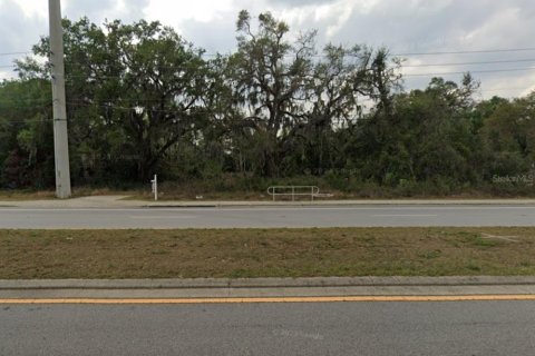 Land in Osteen, Florida № 1894964 - photo 10
