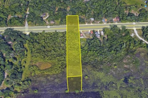 Land in Osteen, Florida № 1894964 - photo 2